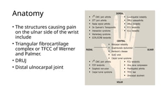 TFCC.WRIST.INJURY.pptx tfcc wrist injuries | PPTX