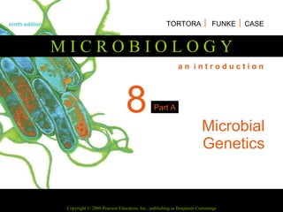 8 Microbial Genetics 