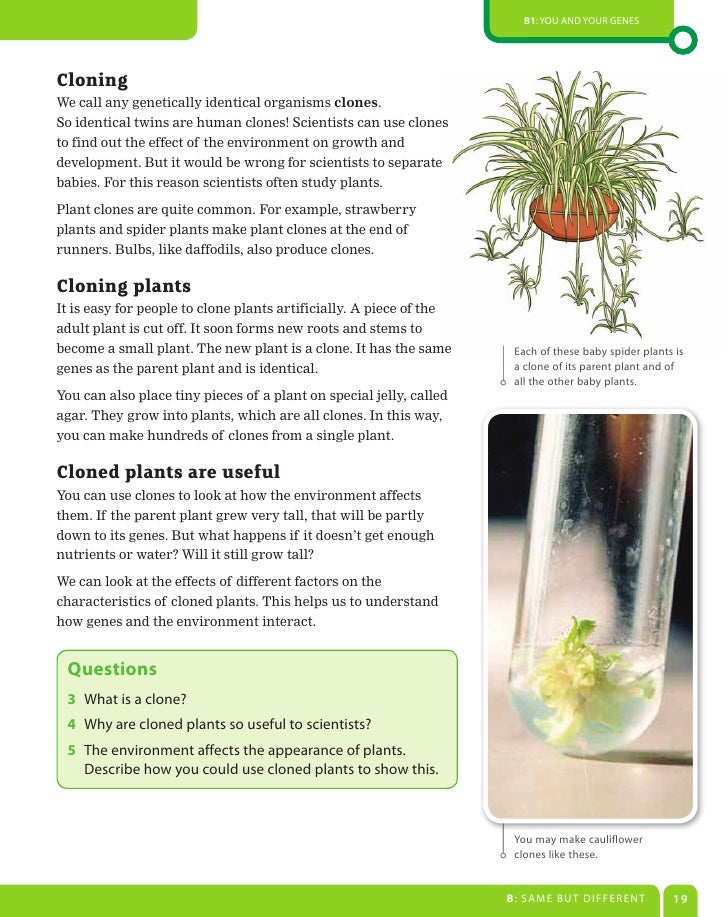 Ocr gcse biology coursework