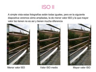ISO II
A simple vista estas fotografías están todas iguales, pero en la siguiente
diapositiva veremos cómo ampliadas, la de menor valor ISO y la que mayor
valor Iso tienen no es así y tienen mucha diferencia
Menor valor ISO Valor ISO medio Mayor valor ISO
 