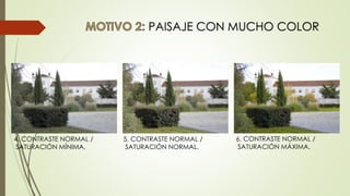 PAISAJE CON MUCHO COLOR
6. CONTRASTE NORMAL /
SATURACIÓN MÁXIMA.
4. CONTRASTE NORMAL /
SATURACIÓN MÍNIMA.
5. CONTRASTE NORMAL /
SATURACIÓN NORMAL.
 
