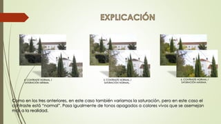 6. CONTRASTE NORMAL /
SATURACIÓN MÁXIMA.
4. CONTRASTE NORMAL /
SATURACIÓN MÍNIMA.
5. CONTRASTE NORMAL /
SATURACIÓN NORMAL.
Como en los tres anteriores, en este caso también variamos la saturación, pero en este caso el
contraste está “normal”. Pasa igualmente de tonos apagados a colores vivos que se asemejan
mas a la realidad.
 
