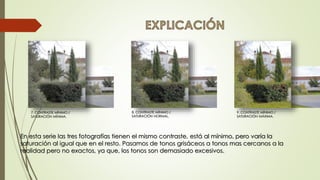 9. CONTRASTE MÍNIMO /
SATURACIÓN MÁXIMA.
7. CONTRASTE MÍNIMO /
SATURACIÓN MÍNIMA.
8. CONTRASTE MÍNIMO /
SATURACIÓN NORMAL.
En esta serie las tres fotografías tienen el mismo contraste, está al mínimo, pero varía la
saturación al igual que en el resto. Pasamos de tonos grisáceos a tonos mas cercanos a la
realidad pero no exactos, ya que, los tonos son demasiado excesivos.
 