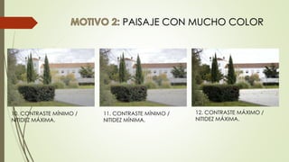 PAISAJE CON MUCHO COLOR
12. CONTRASTE MÁXIMO /
NITIDEZ MÁXIMA.
10. CONTRASTE MÍNIMO /
NITIDEZ MÁXIMA.
11. CONTRASTE MÍNIMO /
NITIDEZ MÍNIMA.
 