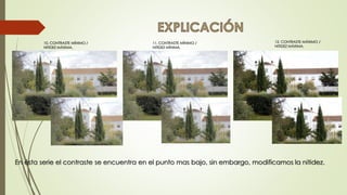 En ésta serie el contraste se encuentra en el punto mas bajo, sin embargo, modificamos la nitidez.
12. CONTRASTE MÁXIMO /
NITIDEZ MÁXIMA.
10. CONTRASTE MÍNIMO /
NITIDEZ MÁXIMA.
11. CONTRASTE MÍNIMO /
NITIDEZ MÍNIMA.
 