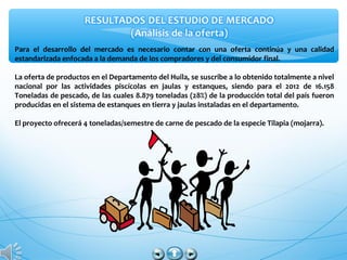 Para el desarrollo del mercado es necesario contar con una oferta continúa y una calidad
estandarizada enfocada a la demanda de los compradores y del consumidor final.
La oferta de productos en el Departamento del Huila, se suscribe a lo obtenido totalmente a nivel
nacional por las actividades piscícolas en jaulas y estanques, siendo para el 2012 de 16.158
Toneladas de pescado, de las cuales 8.879 toneladas (28%) de la producción total del país fueron
producidas en el sistema de estanques en tierra y jaulas instaladas en el departamento.
El proyecto ofrecerá 4 toneladas/semestre de carne de pescado de la especie Tilapia (mojarra).
 