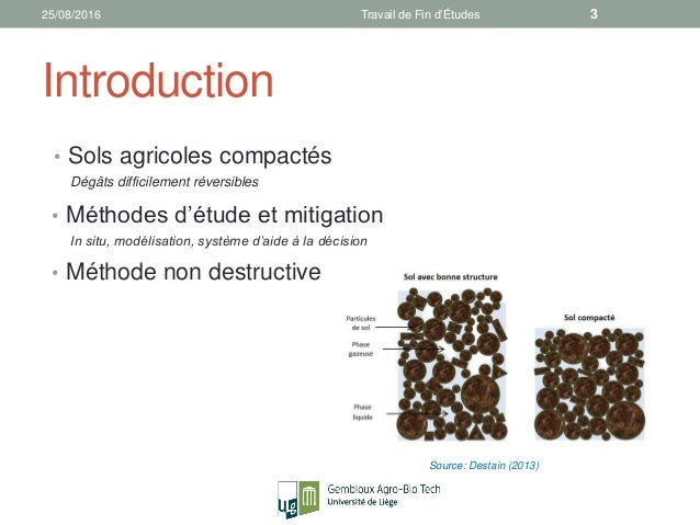 Master thesis 2006