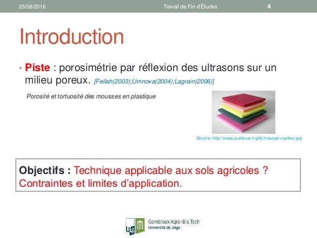 Master thesis 2006