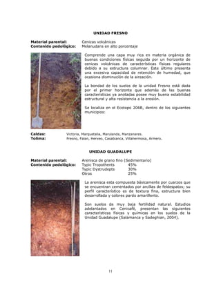 UNIDAD FRESNO
Material parental:
Contenido pedológico:

Cenizas volcánicas
Melanudans en alto porcentaje
Comprende una capa muy rica en materia orgánica de
buenas condiciones físicas seguida por un horizonte de
cenizas volcánicas de características físicas regulares
debido a su estructura columnar. Este último presenta
una excesiva capacidad de retención de humedad, que
ocasiona disminución de la aireación.
La bondad de los suelos de la unidad Fresno está dada
por el primer horizonte que además de las buenas
características ya anotadas posee muy buena estabilidad
estructural y alta resistencia a la erosión.
Se localiza en el Ecotopo 206B, dentro de los siguientes
municipios:

Caldas:
Tolima:

Victoria, Marquetalia, Marulanda, Manzanares.
Fresno, Falan, Herveo, Casabianca, Villahermosa, Armero.

UNIDAD GUADALUPE
Material parental:
Contenido pedológico:

Arenisca de grano fino (Sedimentario)
Typic Tropothents
45%
Typic Dystrudepts
30%
Otros
25%
La arenisca esta compuesta básicamente por cuarzos que
se encuentran cementados por arcillas de feldespatos; su
perfil característico es de textura fina, estructura bien
desarrollada y colores pardo amarillento.
Son suelos de muy baja fertilidad natural. Estudios
adelantados en Cenicafé, presentan las siguientes
características físicas y químicas en los suelos de la
Unidad Guadalupe (Salamanca y Sadeghian, 2004).

11

 