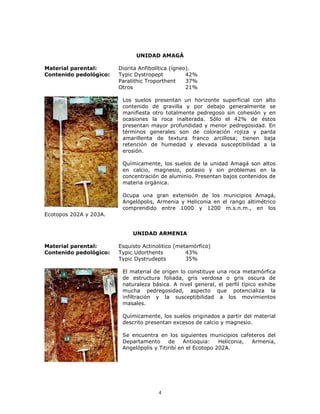 UNIDAD AMAGÁ
Material parental:
Contenido pedológico:

Diorita Anfibolítica (ígneo).
Typic Dystropept
42%
Paralithic Troporthent
37%
Otros
21%
Los suelos presentan un horizonte superficial con alto
contenido de gravilla y por debajo generalmente se
manifiesta otro totalmente pedregoso sin cohesión y en
ocasiones la roca inalterada. Sólo el 42% de éstos
presentan mayor profundidad y menor pedregosidad. En
términos generales son de coloración rojiza y parda
amarillenta de textura franco arcillosa; tienen baja
retención de humedad y elevada susceptibilidad a la
erosión.
Químicamente, los suelos de la unidad Amagá son altos
en calcio, magnesio, potasio y sin problemas en la
concentración de aluminio. Presentan bajos contenidos de
materia orgánica.
Ocupa una gran extensión de los municipios Amagá,
Angelópolis, Armenia y Heliconia en el rango altimétrico
comprendido entre 1000 y 1200 m.s.n.m., en los

Ecotopos 202A y 203A.

UNIDAD ARMENIA
Material parental:
Contenido pedológico:

Esquisto Actinolitico (metamórfico)
Typic Udorthents
43%
Typic Dystrudepts
35%
El material de origen lo constituye una roca metamórfica
de estructura foliada, gris verdosa o gris oscura de
naturaleza básica. A nivel general, el perfil típico exhibe
mucha pedregosidad, aspecto que potencializa la
infiltración y la susceptibilidad a los movimientos
masales.
Químicamente, los suelos originados a partir del material
descrito presentan excesos de calcio y magnesio.
Se encuentra en los siguientes municipios cafeteros del
Departamento
de
Antioquia:
Heliconia,
Armenia,
Angelópolis y Titiribí en el Ecotopo 202A.

4

 