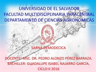 UNIVERSIDAD DE EL SALVADOR
FACULTAD MULTIDISCIPLINARIA PARACENTRAL
DEPARTAMENTO DE CIENCIAS AGRONÓMICAS
SARNA DEMODECICA
DOCENTE: MSC. DR. PEDRO ALONZO PÉREZ BARRAZA.
BACHILLER: GUADALUPE ISABEL NAJARRO GARCÍA.
CICLO:II 2016
 