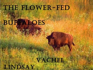 THE FLOWER-FED

BUFFALOES




          VAcHEL
LinDSAy
 