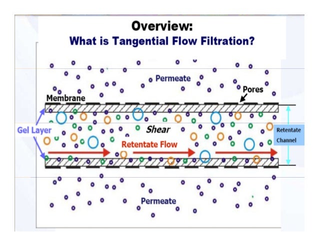 cross flow or tangential flow membrane filtration tff to enable hig tangential flow filtration