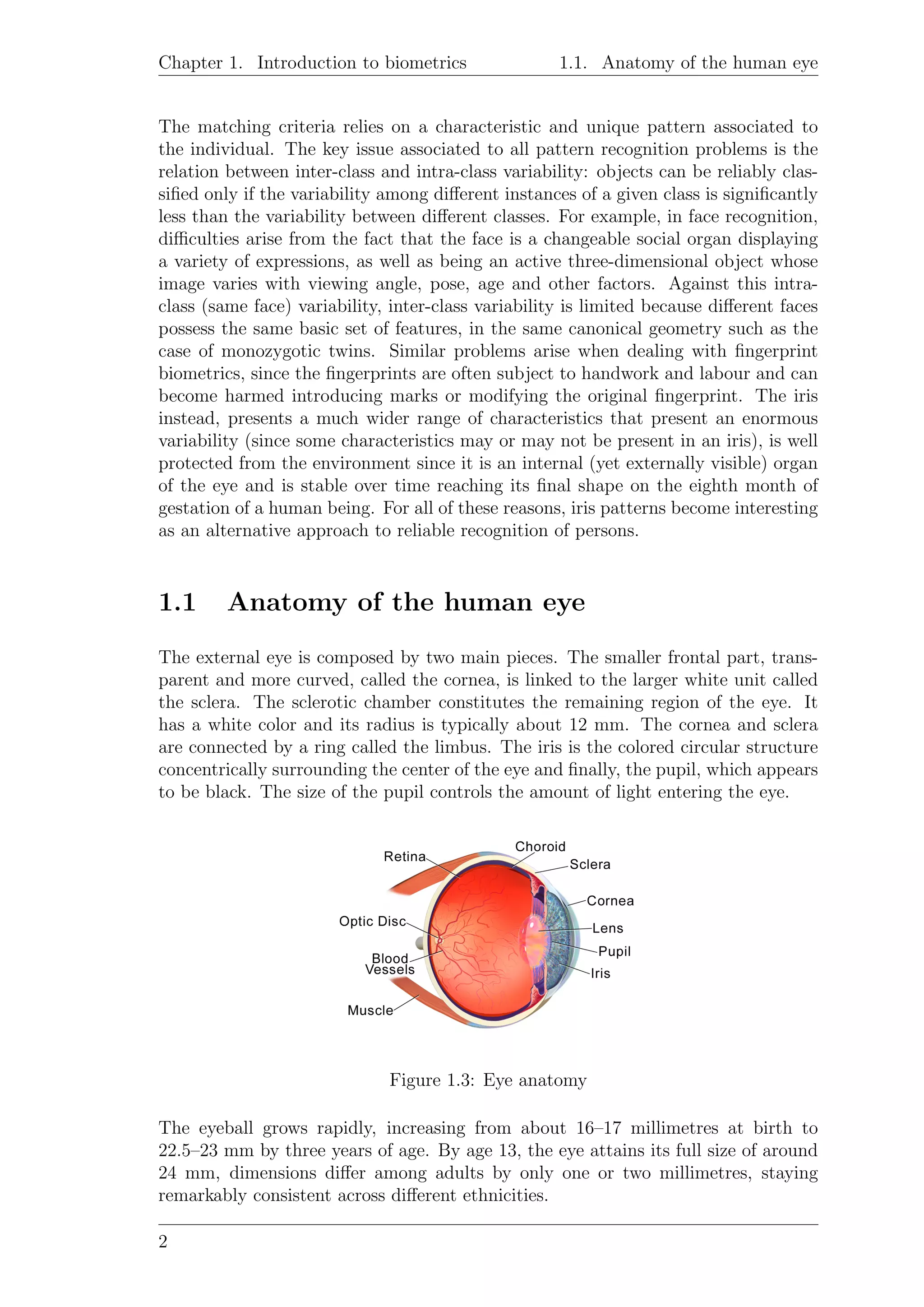 Chapter 1. Introduction to biometrics 1.1. Anatomy of the human eye
The matching criteria relies on a characteristic and unique pattern associated to
the individual. The key issue associated to all pattern recognition problems is the
relation between inter-class and intra-class variability: objects can be reliably clas-
siﬁed only if the variability among diﬀerent instances of a given class is signiﬁcantly
less than the variability between diﬀerent classes. For example, in face recognition,
diﬃculties arise from the fact that the face is a changeable social organ displaying
a variety of expressions, as well as being an active three-dimensional object whose
image varies with viewing angle, pose, age and other factors. Against this intra-
class (same face) variability, inter-class variability is limited because diﬀerent faces
possess the same basic set of features, in the same canonical geometry such as the
case of monozygotic twins. Similar problems arise when dealing with ﬁngerprint
biometrics, since the ﬁngerprints are often subject to handwork and labour and can
become harmed introducing marks or modifying the original ﬁngerprint. The iris
instead, presents a much wider range of characteristics that present an enormous
variability (since some characteristics may or may not be present in an iris), is well
protected from the environment since it is an internal (yet externally visible) organ
of the eye and is stable over time reaching its ﬁnal shape on the eighth month of
gestation of a human being. For all of these reasons, iris patterns become interesting
as an alternative approach to reliable recognition of persons.
1.1 Anatomy of the human eye
The external eye is composed by two main pieces. The smaller frontal part, trans-
parent and more curved, called the cornea, is linked to the larger white unit called
the sclera. The sclerotic chamber constitutes the remaining region of the eye. It
has a white color and its radius is typically about 12 mm. The cornea and sclera
are connected by a ring called the limbus. The iris is the colored circular structure
concentrically surrounding the center of the eye and ﬁnally, the pupil, which appears
to be black. The size of the pupil controls the amount of light entering the eye.
Figure 1.3: Eye anatomy
The eyeball grows rapidly, increasing from about 16–17 millimetres at birth to
22.5–23 mm by three years of age. By age 13, the eye attains its full size of around
24 mm, dimensions diﬀer among adults by only one or two millimetres, staying
remarkably consistent across diﬀerent ethnicities.
2
 