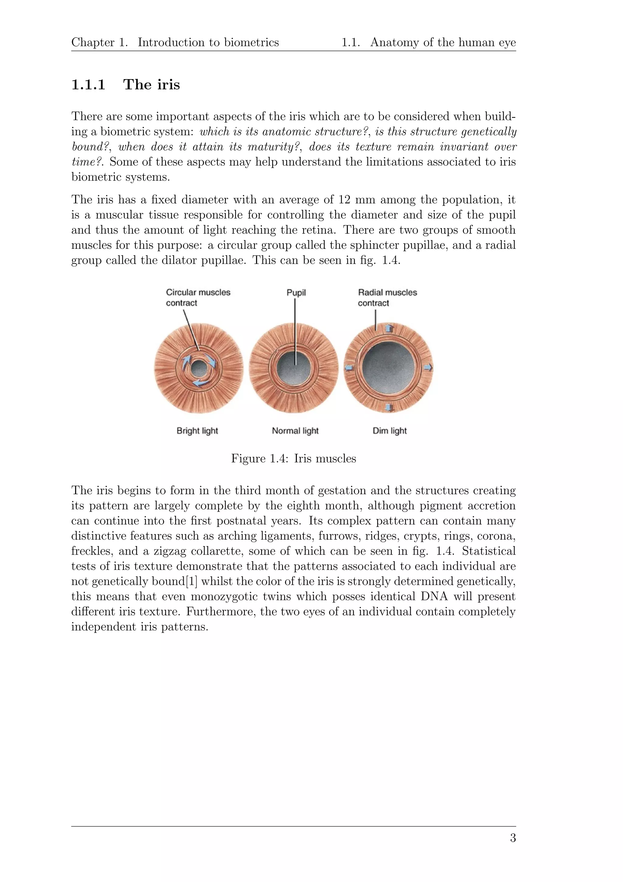 Chapter 1. Introduction to biometrics 1.1. Anatomy of the human eye
1.1.1 The iris
There are some important aspects of the iris which are to be considered when build-
ing a biometric system: which is its anatomic structure?, is this structure genetically
bound?, when does it attain its maturity?, does its texture remain invariant over
time?. Some of these aspects may help understand the limitations associated to iris
biometric systems.
The iris has a ﬁxed diameter with an average of 12 mm among the population, it
is a muscular tissue responsible for controlling the diameter and size of the pupil
and thus the amount of light reaching the retina. There are two groups of smooth
muscles for this purpose: a circular group called the sphincter pupillae, and a radial
group called the dilator pupillae. This can be seen in ﬁg. 1.4.
Figure 1.4: Iris muscles
The iris begins to form in the third month of gestation and the structures creating
its pattern are largely complete by the eighth month, although pigment accretion
can continue into the ﬁrst postnatal years. Its complex pattern can contain many
distinctive features such as arching ligaments, furrows, ridges, crypts, rings, corona,
freckles, and a zigzag collarette, some of which can be seen in ﬁg. 1.4. Statistical
tests of iris texture demonstrate that the patterns associated to each individual are
not genetically bound[1] whilst the color of the iris is strongly determined genetically,
this means that even monozygotic twins which posses identical DNA will present
diﬀerent iris texture. Furthermore, the two eyes of an individual contain completely
independent iris patterns.
3
 
