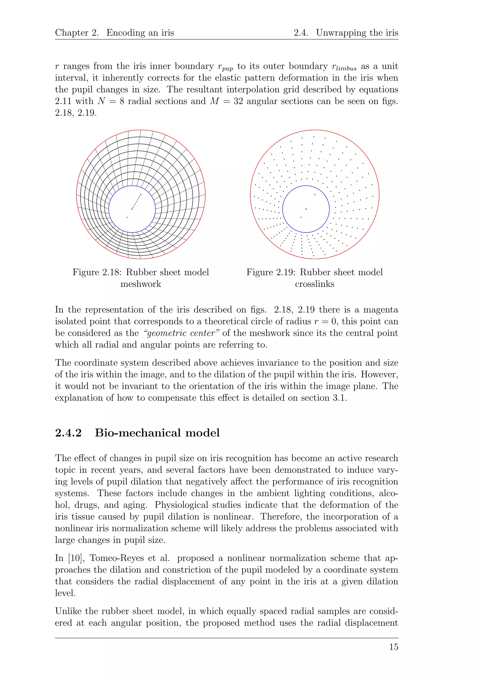 Chapter 2. Encoding an iris 2.4. Unwrapping the iris
r ranges from the iris inner boundary rpup to its outer boundary rlimbus as a unit
interval, it inherently corrects for the elastic pattern deformation in the iris when
the pupil changes in size. The resultant interpolation grid described by equations
2.11 with N = 8 radial sections and M = 32 angular sections can be seen on ﬁgs.
2.18, 2.19.
Figure 2.18: Rubber sheet model
meshwork
Figure 2.19: Rubber sheet model
crosslinks
In the representation of the iris described on ﬁgs. 2.18, 2.19 there is a magenta
isolated point that corresponds to a theoretical circle of radius r = 0, this point can
be considered as the “geometric center” of the meshwork since its the central point
which all radial and angular points are referring to.
The coordinate system described above achieves invariance to the position and size
of the iris within the image, and to the dilation of the pupil within the iris. However,
it would not be invariant to the orientation of the iris within the image plane. The
explanation of how to compensate this eﬀect is detailed on section 3.1.
2.4.2 Bio-mechanical model
The eﬀect of changes in pupil size on iris recognition has become an active research
topic in recent years, and several factors have been demonstrated to induce vary-
ing levels of pupil dilation that negatively aﬀect the performance of iris recognition
systems. These factors include changes in the ambient lighting conditions, alco-
hol, drugs, and aging. Physiological studies indicate that the deformation of the
iris tissue caused by pupil dilation is nonlinear. Therefore, the incorporation of a
nonlinear iris normalization scheme will likely address the problems associated with
large changes in pupil size.
In [10], Tomeo-Reyes et al. proposed a nonlinear normalization scheme that ap-
proaches the dilation and constriction of the pupil modeled by a coordinate system
that considers the radial displacement of any point in the iris at a given dilation
level.
Unlike the rubber sheet model, in which equally spaced radial samples are consid-
ered at each angular position, the proposed method uses the radial displacement
15
 