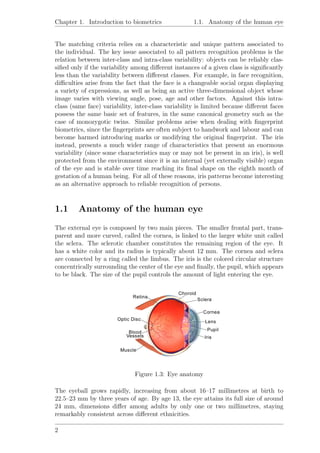 Chapter 1. Introduction to biometrics 1.1. Anatomy of the human eye
The matching criteria relies on a characteristic and unique pattern associated to
the individual. The key issue associated to all pattern recognition problems is the
relation between inter-class and intra-class variability: objects can be reliably clas-
siﬁed only if the variability among diﬀerent instances of a given class is signiﬁcantly
less than the variability between diﬀerent classes. For example, in face recognition,
diﬃculties arise from the fact that the face is a changeable social organ displaying
a variety of expressions, as well as being an active three-dimensional object whose
image varies with viewing angle, pose, age and other factors. Against this intra-
class (same face) variability, inter-class variability is limited because diﬀerent faces
possess the same basic set of features, in the same canonical geometry such as the
case of monozygotic twins. Similar problems arise when dealing with ﬁngerprint
biometrics, since the ﬁngerprints are often subject to handwork and labour and can
become harmed introducing marks or modifying the original ﬁngerprint. The iris
instead, presents a much wider range of characteristics that present an enormous
variability (since some characteristics may or may not be present in an iris), is well
protected from the environment since it is an internal (yet externally visible) organ
of the eye and is stable over time reaching its ﬁnal shape on the eighth month of
gestation of a human being. For all of these reasons, iris patterns become interesting
as an alternative approach to reliable recognition of persons.
1.1 Anatomy of the human eye
The external eye is composed by two main pieces. The smaller frontal part, trans-
parent and more curved, called the cornea, is linked to the larger white unit called
the sclera. The sclerotic chamber constitutes the remaining region of the eye. It
has a white color and its radius is typically about 12 mm. The cornea and sclera
are connected by a ring called the limbus. The iris is the colored circular structure
concentrically surrounding the center of the eye and ﬁnally, the pupil, which appears
to be black. The size of the pupil controls the amount of light entering the eye.
Figure 1.3: Eye anatomy
The eyeball grows rapidly, increasing from about 16–17 millimetres at birth to
22.5–23 mm by three years of age. By age 13, the eye attains its full size of around
24 mm, dimensions diﬀer among adults by only one or two millimetres, staying
remarkably consistent across diﬀerent ethnicities.
2
 