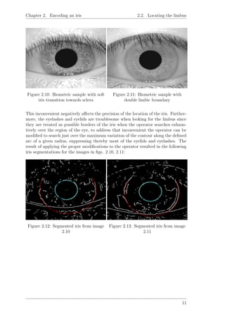Chapter 2. Encoding an iris 2.2. Locating the limbus
Figure 2.10: Biometric sample with soft
iris transition towards sclera
Figure 2.11: Biometric sample with
double limbic boundary
This inconvenient negatively aﬀects the precision of the location of the iris. Further-
more, the eyelashes and eyelids are troublesome when looking for the limbus since
they are treated as possible borders of the iris when the operator searches exhaus-
tively over the region of the eye, to address that inconvenient the operator can be
modiﬁed to search just over the maximum variation of the contour along the deﬁned
arc of a given radius, suppressing thereby most of the eyelids and eyelashes. The
result of applying the proper modiﬁcations to the operator resulted in the following
iris segmentations for the images in ﬁgs. 2.10, 2.11:
Figure 2.12: Segmented iris from image
2.10
Figure 2.13: Segmented iris from image
2.11
11
 