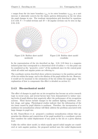 Chapter 2. Encoding an iris 2.4. Unwrapping the iris
r ranges from the iris inner boundary rpup to its outer boundary rlimbus as a unit
interval, it inherently corrects for the elastic pattern deformation in the iris when
the pupil changes in size. The resultant interpolation grid described by equations
2.11 with N = 8 radial sections and M = 32 angular sections can be seen on ﬁgs.
2.18, 2.19.
Figure 2.18: Rubber sheet model
meshwork
Figure 2.19: Rubber sheet model
crosslinks
In the representation of the iris described on ﬁgs. 2.18, 2.19 there is a magenta
isolated point that corresponds to a theoretical circle of radius r = 0, this point can
be considered as the “geometric center” of the meshwork since its the central point
which all radial and angular points are referring to.
The coordinate system described above achieves invariance to the position and size
of the iris within the image, and to the dilation of the pupil within the iris. However,
it would not be invariant to the orientation of the iris within the image plane. The
explanation of how to compensate this eﬀect is detailed on section 3.1.
2.4.2 Bio-mechanical model
The eﬀect of changes in pupil size on iris recognition has become an active research
topic in recent years, and several factors have been demonstrated to induce vary-
ing levels of pupil dilation that negatively aﬀect the performance of iris recognition
systems. These factors include changes in the ambient lighting conditions, alco-
hol, drugs, and aging. Physiological studies indicate that the deformation of the
iris tissue caused by pupil dilation is nonlinear. Therefore, the incorporation of a
nonlinear iris normalization scheme will likely address the problems associated with
large changes in pupil size.
In [10], Tomeo-Reyes et al. proposed a nonlinear normalization scheme that ap-
proaches the dilation and constriction of the pupil modeled by a coordinate system
that considers the radial displacement of any point in the iris at a given dilation
level.
Unlike the rubber sheet model, in which equally spaced radial samples are consid-
ered at each angular position, the proposed method uses the radial displacement
15
 