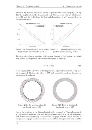 Chapter 2. Encoding an iris 2.4. Unwrapping the iris
estimated by the bio-mechanical model to perform the radial sampling. In ﬁg.
2.20 the graphic shows the displacement u(r) obtained in an extreme dilation case
ρ = 0.75, and ﬁg. 2.21 shows the ﬁnal radial position r + u(r) associated to the
given dilation ratio.
0 0.25 0.5 0.75 1
Normalized radius
0
0.25
0.5
0.75
1
u(r)
Radial displacement u(r) for ρ=0.75
Bio-mechanical model
Rubber sheet model
Figure 2.20: Bio-mechanical model radial
displacement prediction for ρ = 0.75
0 0.25 0.5 0.75 1
Normalized radius
0
0.25
0.5
0.75
1
r+u(r)
Final positions r+u(r) for ρ=0.75
Bio-mechanical model
Rubber sheet model
Figure 2.21: Bio-mechanical model ﬁnal
position prediction for ρ = 0.75
Therefore, according to equations 2.11, the new function r that remaps the coordi-
nate system to compensate for dilation of the pupil is given by:
r = r + u(r) (2.12)
When applying the correction to the hypothetical representation shown in ﬁg. 2.18
for a supposed dilation ratio of ρ = 0.75 and concentric pupil and limbus, the
resultant meshworks are:
Figure 2.22: Bio-mechanical model
meshwork for ρ = 0.75
Figure 2.23: Rubber sheet model
meshwork for ρ = 0.75
One of the problems of the bio-mechanical model proposed by Tomeo-Reyes et al.
in [10] is that it does not take into account relevant aspects of the iris physiology
such as the non-concentricity of the iris and the pupil and the lack of a model to
compensate for pupil constriction since the model that they present is only valid for
16
 