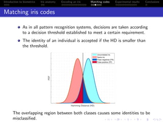 Human Iris Biometry | PDF