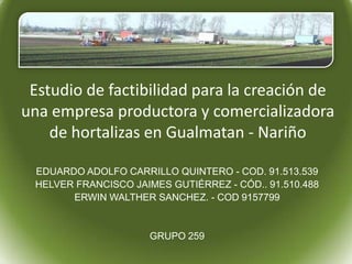 Estudio de factibilidad para la creación de
una empresa productora y comercializadora
    de hortalizas en Gualmatan - Nariño

 EDUARDO ADOLFO CARRILLO QUINTERO - COD. 91.513.539
 HELVER FRANCISCO JAIMES GUTIÉRREZ - CÓD.. 91.510.488
       ERWIN WALTHER SANCHEZ. - COD 9157799


                     GRUPO 259
 