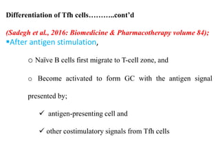 Differentiation of Tfh cells………..cont’d
(Sadegh et al., 2016: Biomedicine & Pharmacotherapy volume 84);
After antigen stimulation,
o Naïve B cells first migrate to T-cell zone, and
o Become activated to form GC with the antigen signal
presented by;
 antigen-presenting cell and
 other costimulatory signals from Tfh cells
 