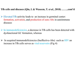 Tfh cells and diseases (Qin, L & Waseem, T. et al., 2018) ……..cont’d
 Elevated Tfh activity leads to an increase in germinal center:
formation, activation, and production of auto-Abs in autoimmune
diseases
 In immunodeficiencies, a decrease in Tfh cells has been detected with
dysfunctional GC formation, whereas
 In acquired immunodeficiencies (Ineffective-Abs) such as HIV an
increase in Tfh cells serves as viral reservoirs (Fig 4)
 