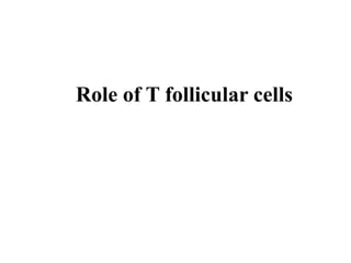 Role of T follicular cells
 