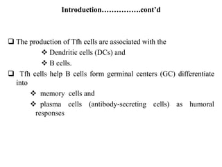 Introduction…………….cont’d
 The production of Tfh cells are associated with the
 Dendritic cells (DCs) and
 B cells.
 Tfh cells help B cells form germinal centers (GC) differentiate
into
 memory cells and
 plasma cells (antibody-secreting cells) as humoral
responses
 