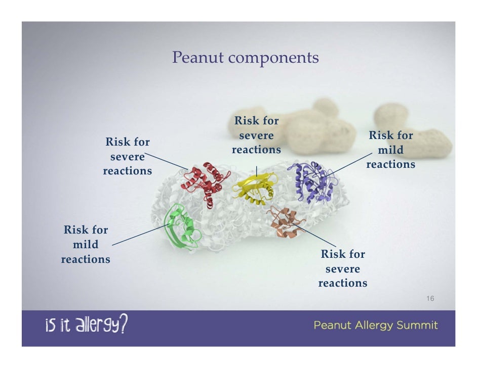 Is It Allergy? Peanut Allergy Summit