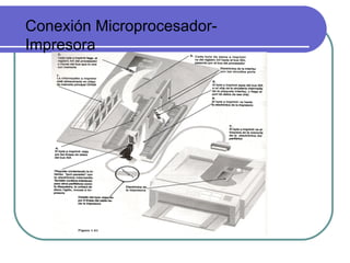 Conexión Microprocesador-Impresora 