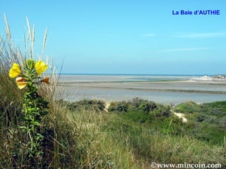La Baie d’AUTHIE 