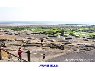 AUDRESSELLES 