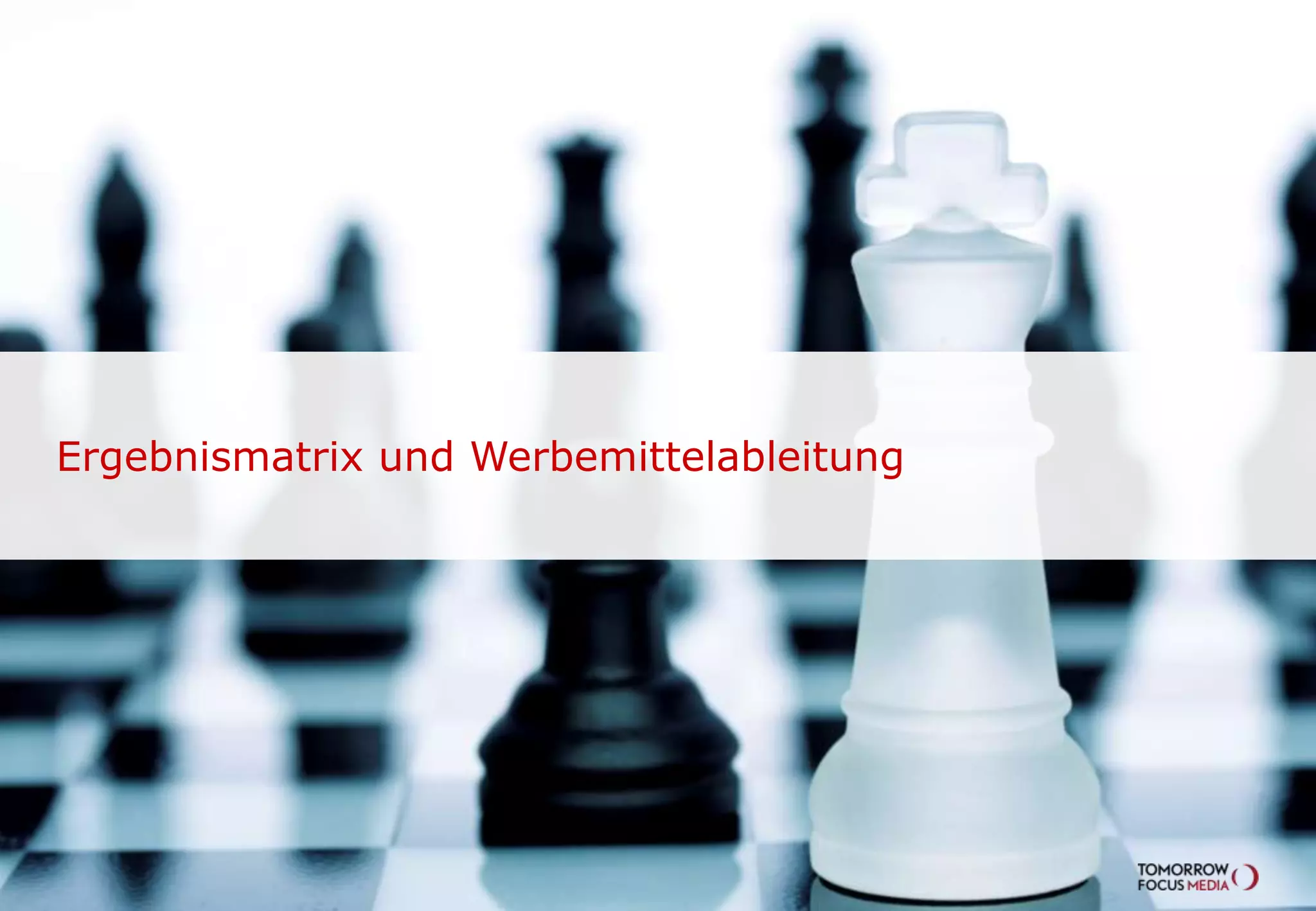Ergebnismatrix und Werbemittelableitung

 
