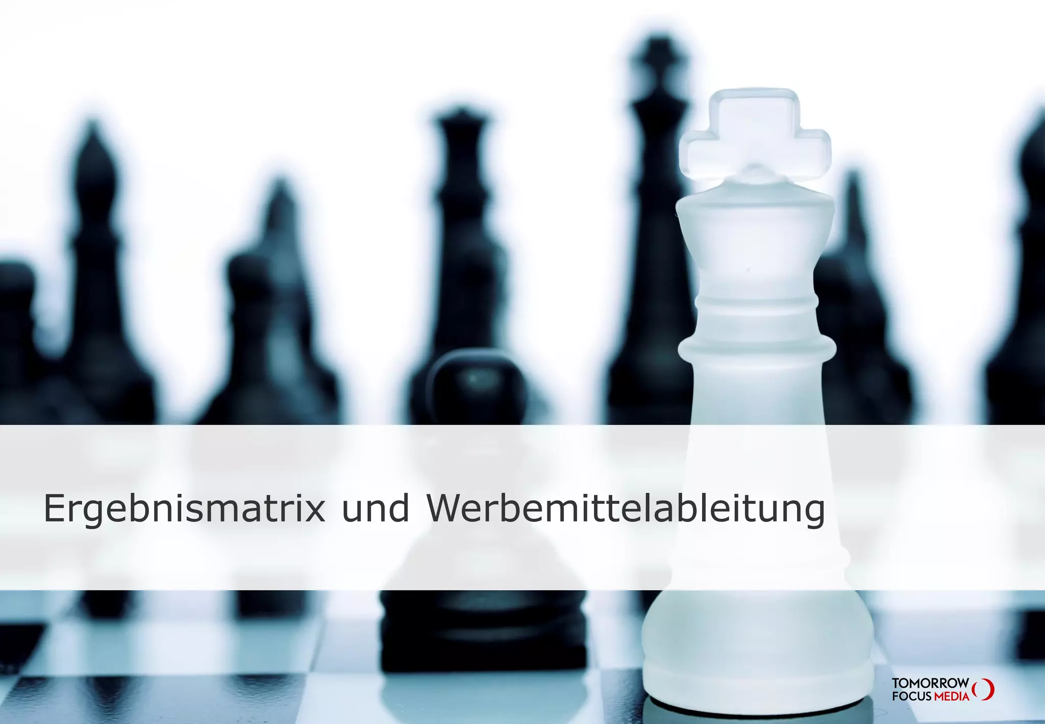 Ergebnismatrix und Werbemittelableitung
 