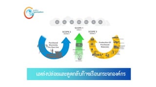 แหล่งปล่อยและดูดกลับก๊าซเรือนกระจกองค์กร
 