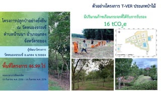 30
ตัวอย่างโครงการ T-VER ประเภทป่าไม้
โครงการปลูกป่าอย่างยั่งยืน
ณ วัดหนองจระเข้
ตาบลบ้านนา อาเภอแกลง
จังหวัดระยอง
ระยะเวลาการคิดเครดิต
15 กันยายน พ.ศ. 2556 – 14 กันยายน พ.ศ. 2576
ผู้พัฒนาโครงการ
วัดหนองจระเข้ อ.แกลง จ.ระยอง
พื้นที่โครงการ 46.99 ไร่
มีปริมาณก๊าซเรือนกระจกที่ได้รับการรับรอง
16 tCO2e
 