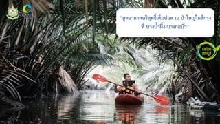 45
“สูดอากาศบริสุทธิ์เต็มปอด ณ ป่าใหญ่ใกล้กรุง
ที่ บางนาผึง-บางกอบัว”
 