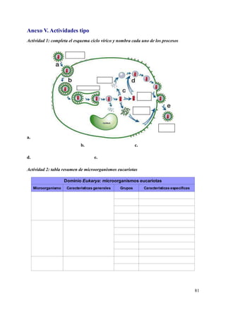 Anexo V. Actividades tipo
Actividad 1: completa el esquema ciclo vírico y nombra cada uno de los procesos
a.
b. c.
d. e.
Actividad 2: tabla resumen de microorganismos eucariotas
81
Microorganismo Características generales Grupos Características específicas
Dominio Eukarya: microorganismos eucariotas
 