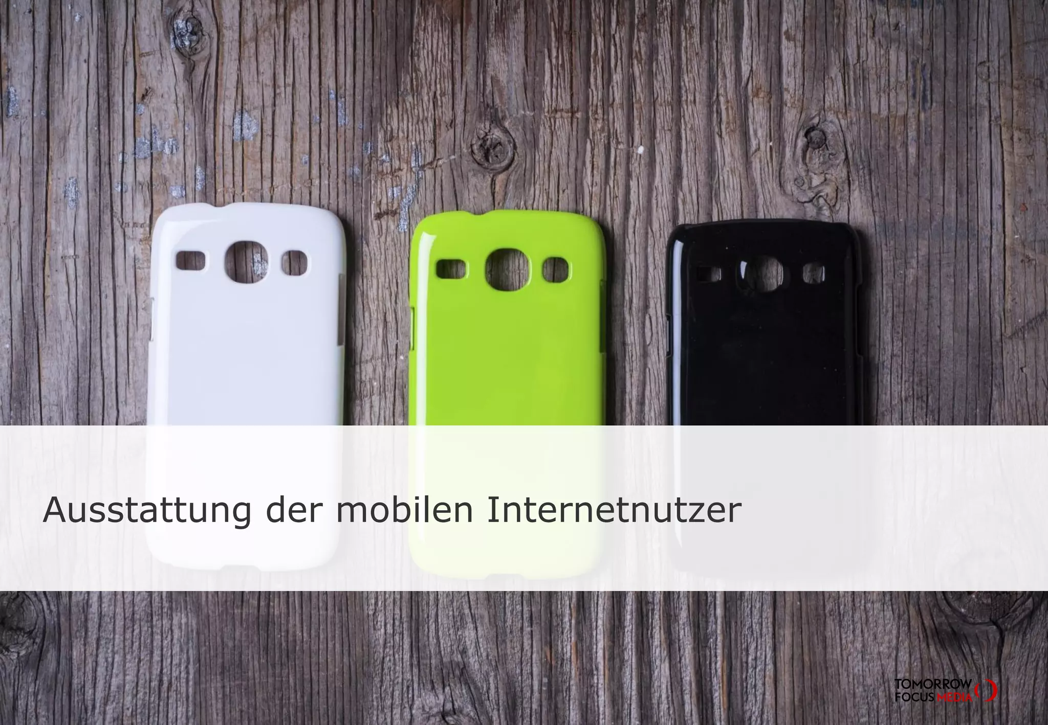 Ausstattung der mobilen Internetnutzer
 