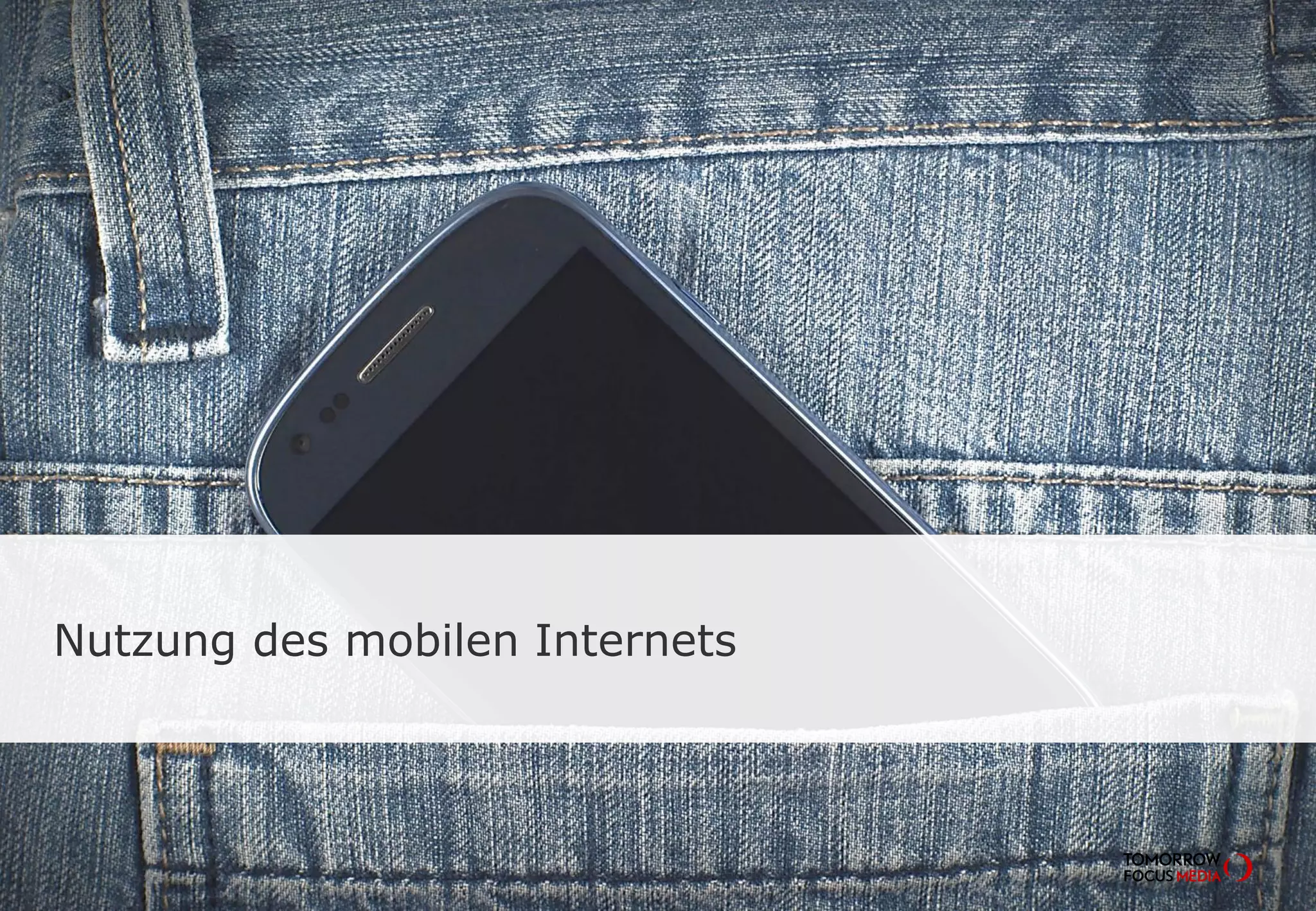 Nutzung des mobilen Internets
 