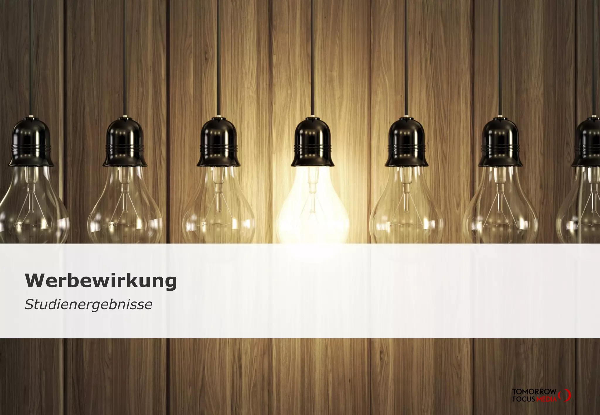 Werbewirkung 
Studienergebnisse 
 