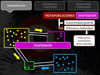 Variabilidad interindividual en el movimiento de quebrantahuesos pre ...