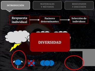 Variabilidad interindividual en el movimiento de quebrantahuesos pre ...