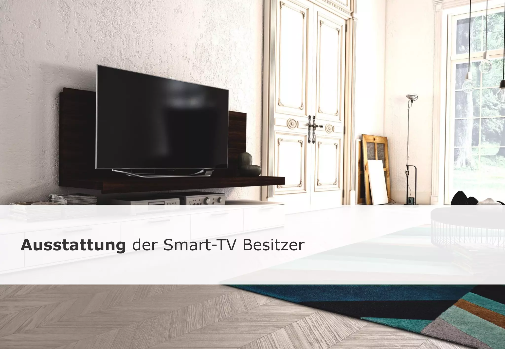 Ausstattung der Smart-TV Besitzer
 