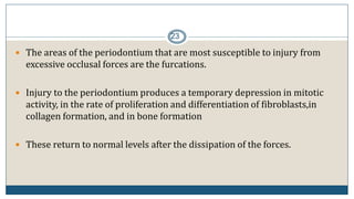 23
 The areas of the periodontium that are most susceptible to injury from
excessive occlusal forces are the furcations.
 Injury to the periodontium produces a temporary depression in mitotic
activity, in the rate of proliferation and differentiation of fibroblasts,in
collagen formation, and in bone formation
 These return to normal levels after the dissipation of the forces.
 