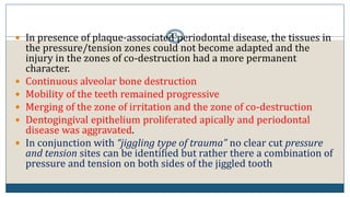 33 In presence of plaque-associated periodontal disease, the tissues in
the pressure/tension zones could not become adapted and the
injury in the zones of co-destruction had a more permanent
character.
 Continuous alveolar bone destruction
 Mobility of the teeth remained progressive
 Merging of the zone of irritation and the zone of co-destruction
 Dentogingival epithelium proliferated apically and periodontal
disease was aggravated.
 In conjunction with “jiggling type of trauma” no clear cut pressure
and tension sites can be identified but rather there a combination of
pressure and tension on both sides of the jiggled tooth
 