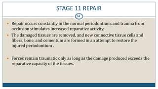 STAGE 11 REPAIR
34
 Repair occurs constantly in the normal periodontium, and trauma from
occlusion stimulates increased reparative activity.
 The damaged tissues are removed, and new connective tissue cells and
fibers, bone, and cementum are formed in an attempt to restore the
injured periodontium .
 Forces remain traumatic only as long as the damage produced exceeds the
reparative capacity of the tissues.
 