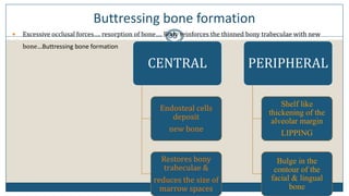 Buttressing bone formation
35 Excessive occlusal forces…. resorption of bone…. Body reinforces the thinned bony trabeculae with new
bone…Buttressing bone formation
CENTRAL
Endosteal cells
deposit
new bone
Restores bony
trabeculae &
reduces the size of
marrow spaces
PERIPHERAL
Shelf like
thickening of the
alveolar margin
LIPPING
Bulge in the
contour of the
facial & lingual
bone
 